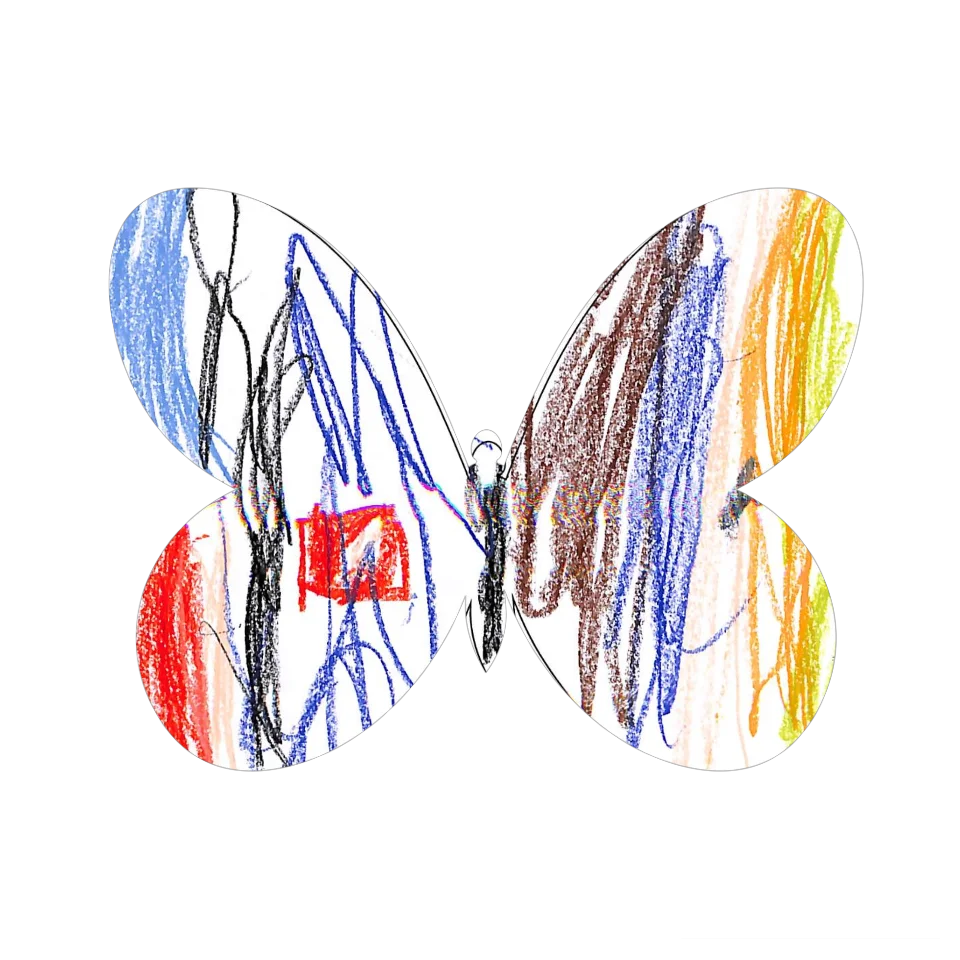 Original Butterfly Image