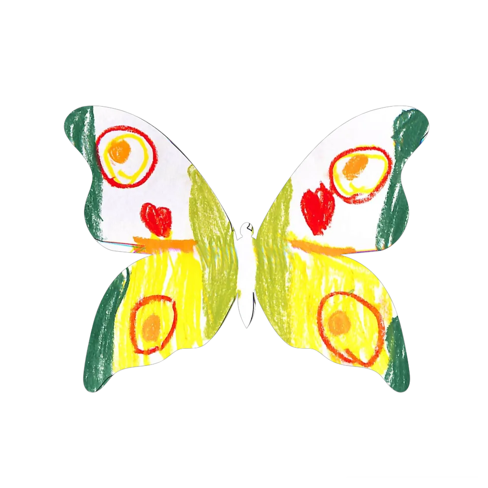Original Butterfly Image