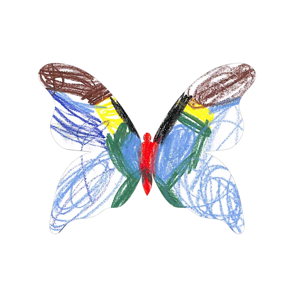 Original Butterfly Image