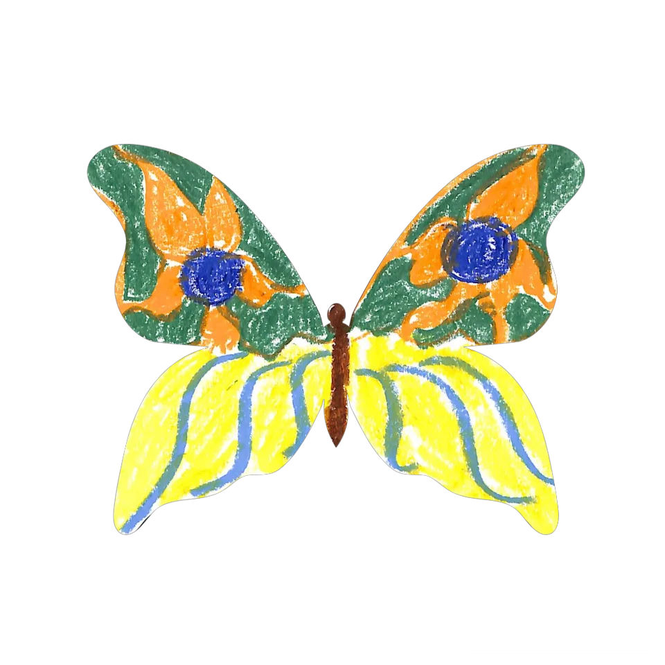Original Butterfly Image