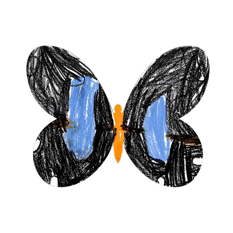 Original Butterfly Image