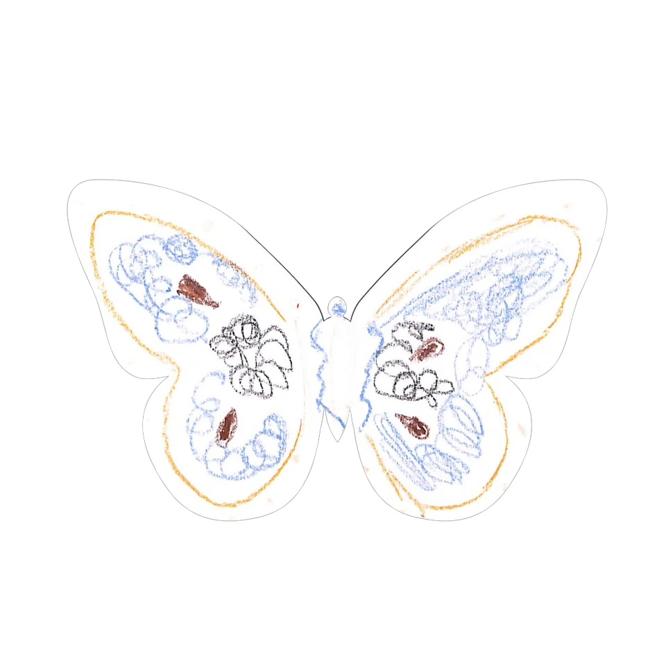 Original Butterfly Image