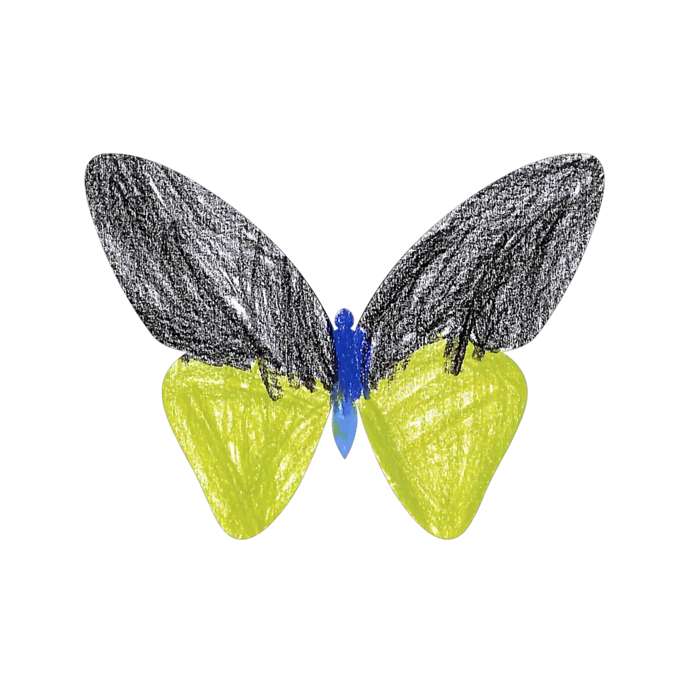 Original Butterfly Image