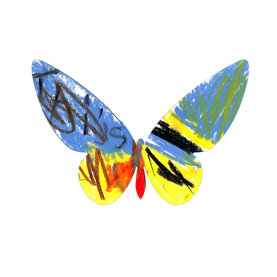Original Butterfly Image