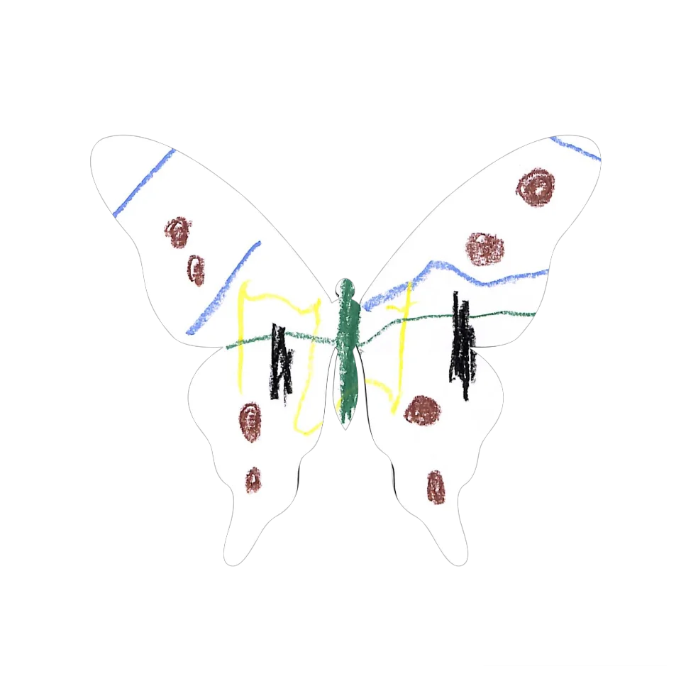 Original Butterfly Image