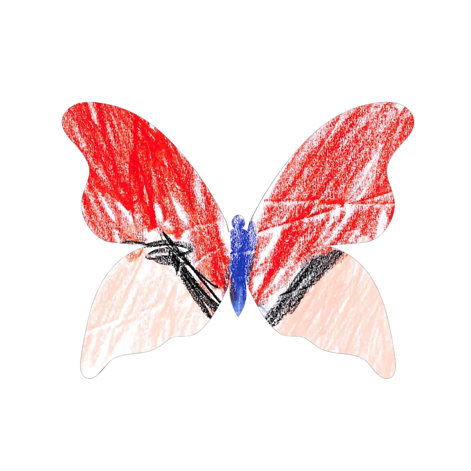Original Butterfly Image