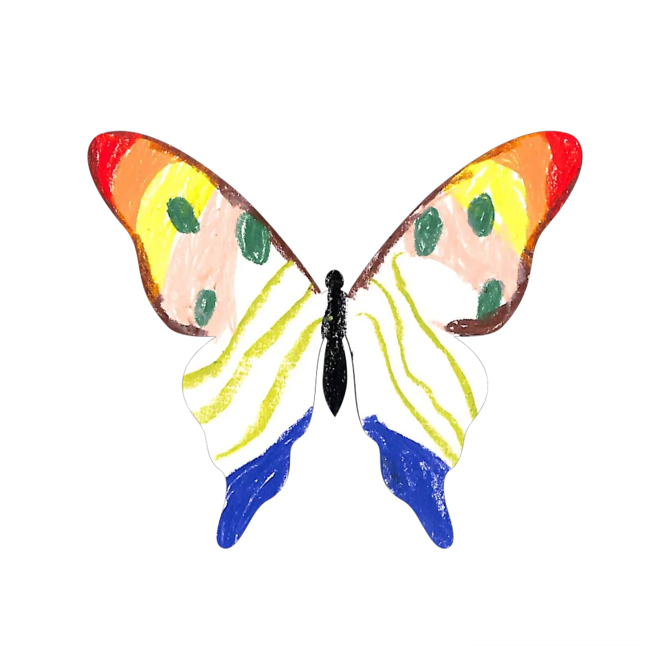 Original Butterfly Image