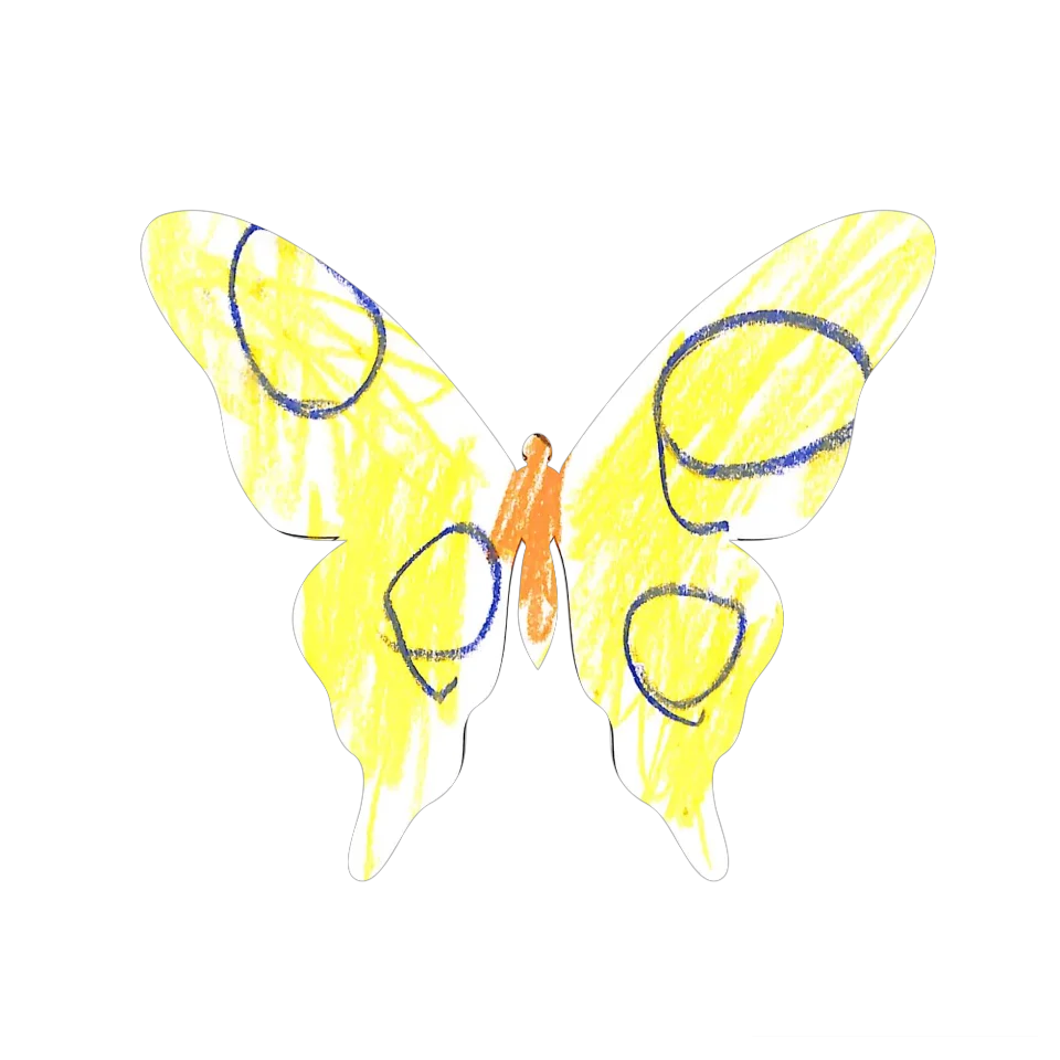 Original Butterfly Image