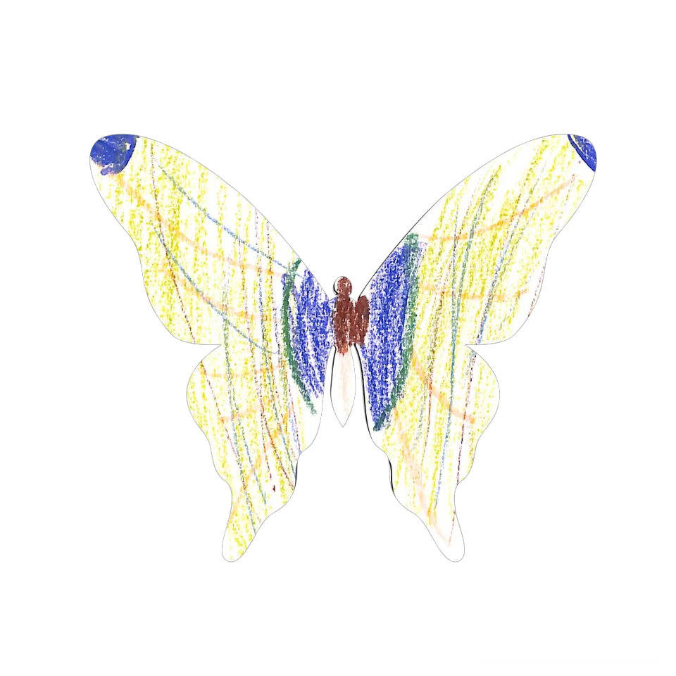 Original Butterfly Image