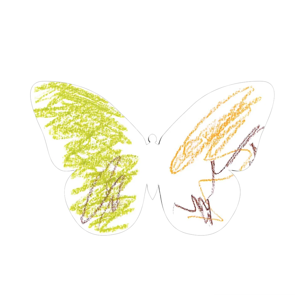 Original Butterfly Image