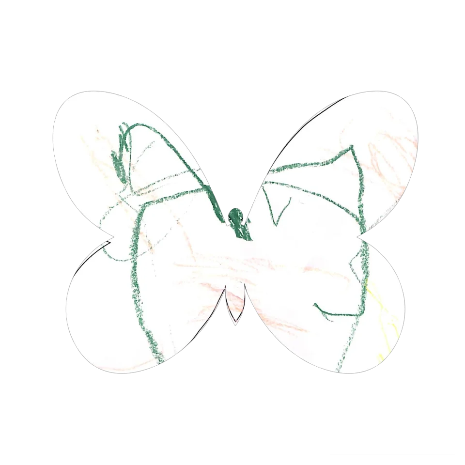 Original Butterfly Image