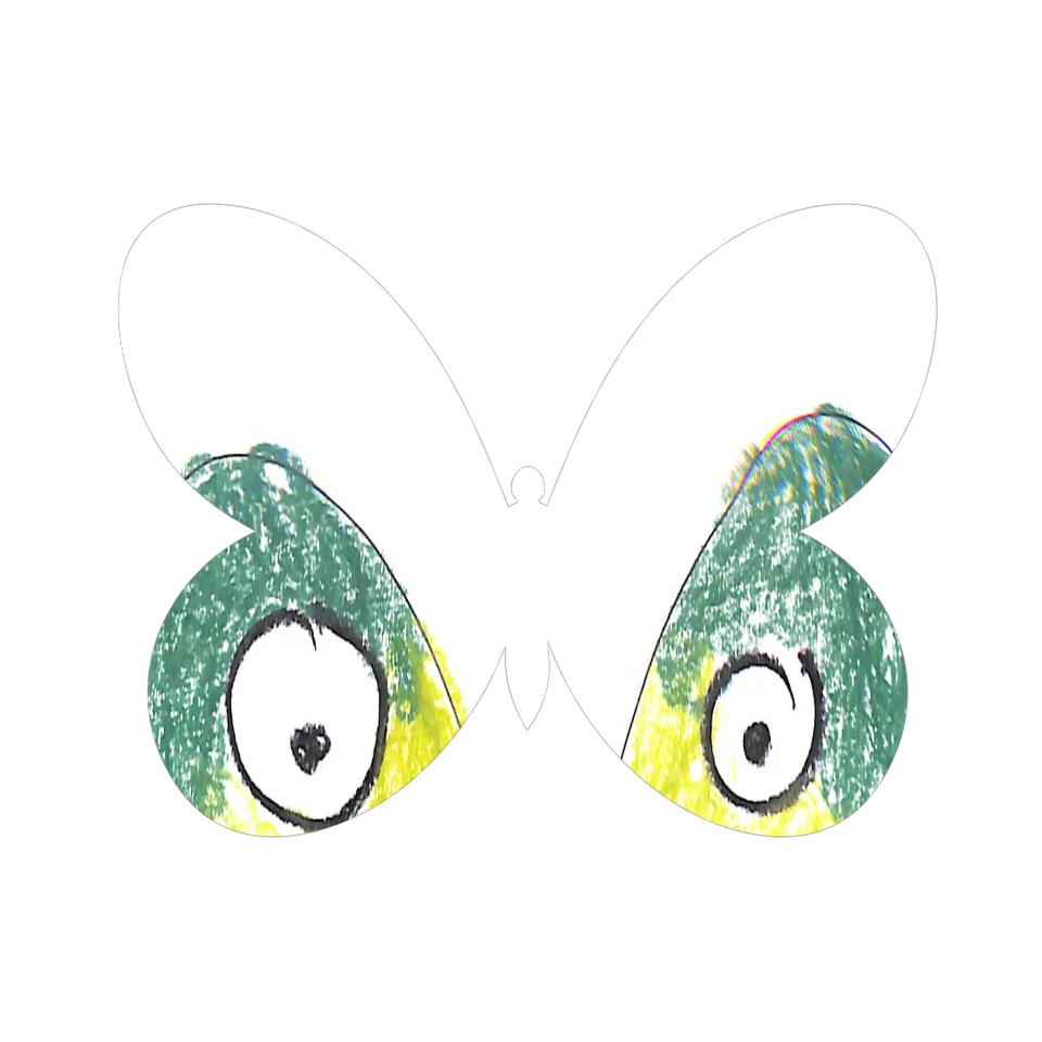 Original Butterfly Image