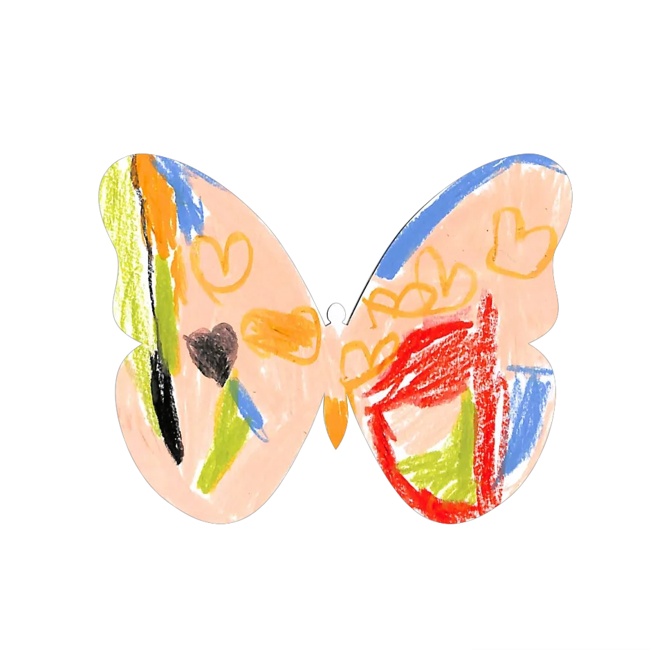 Original Butterfly Image