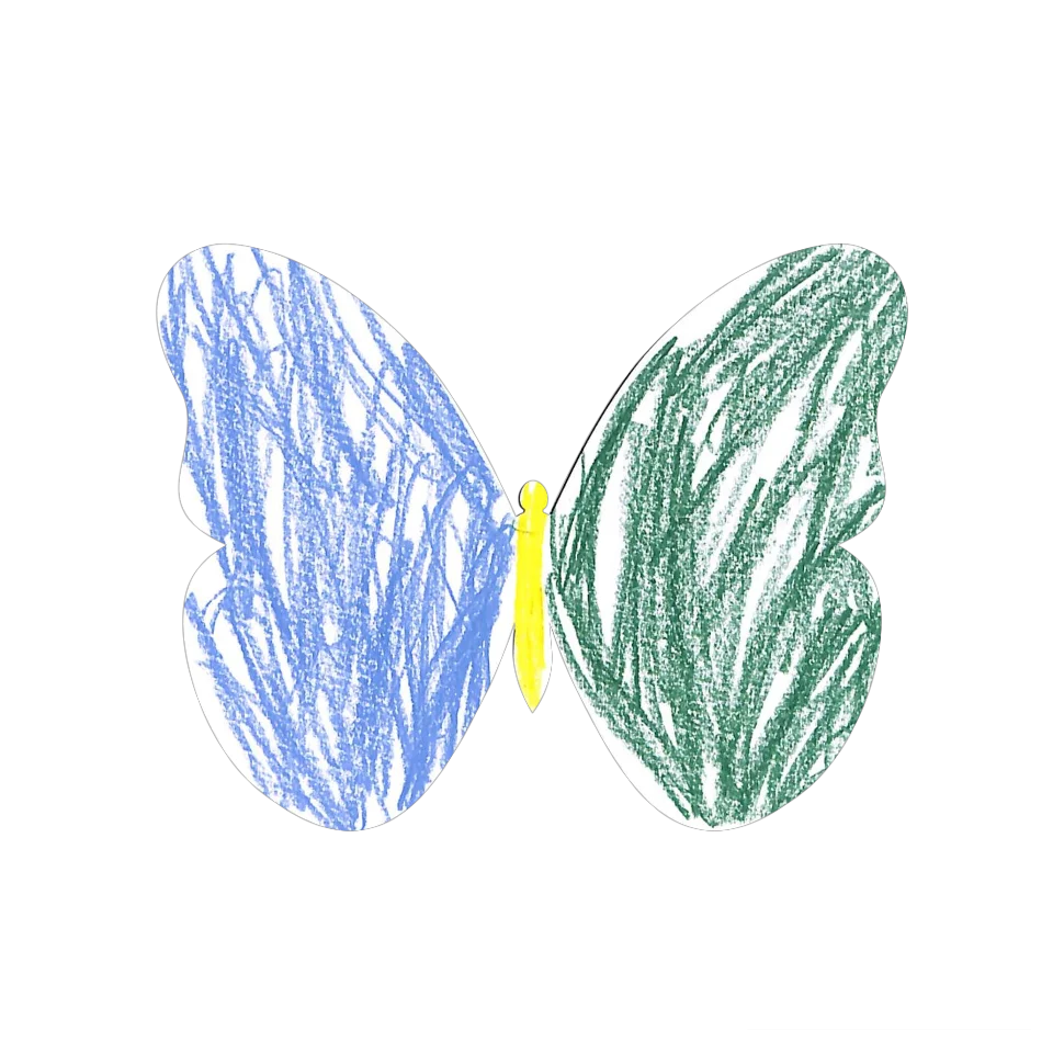 Original Butterfly Image