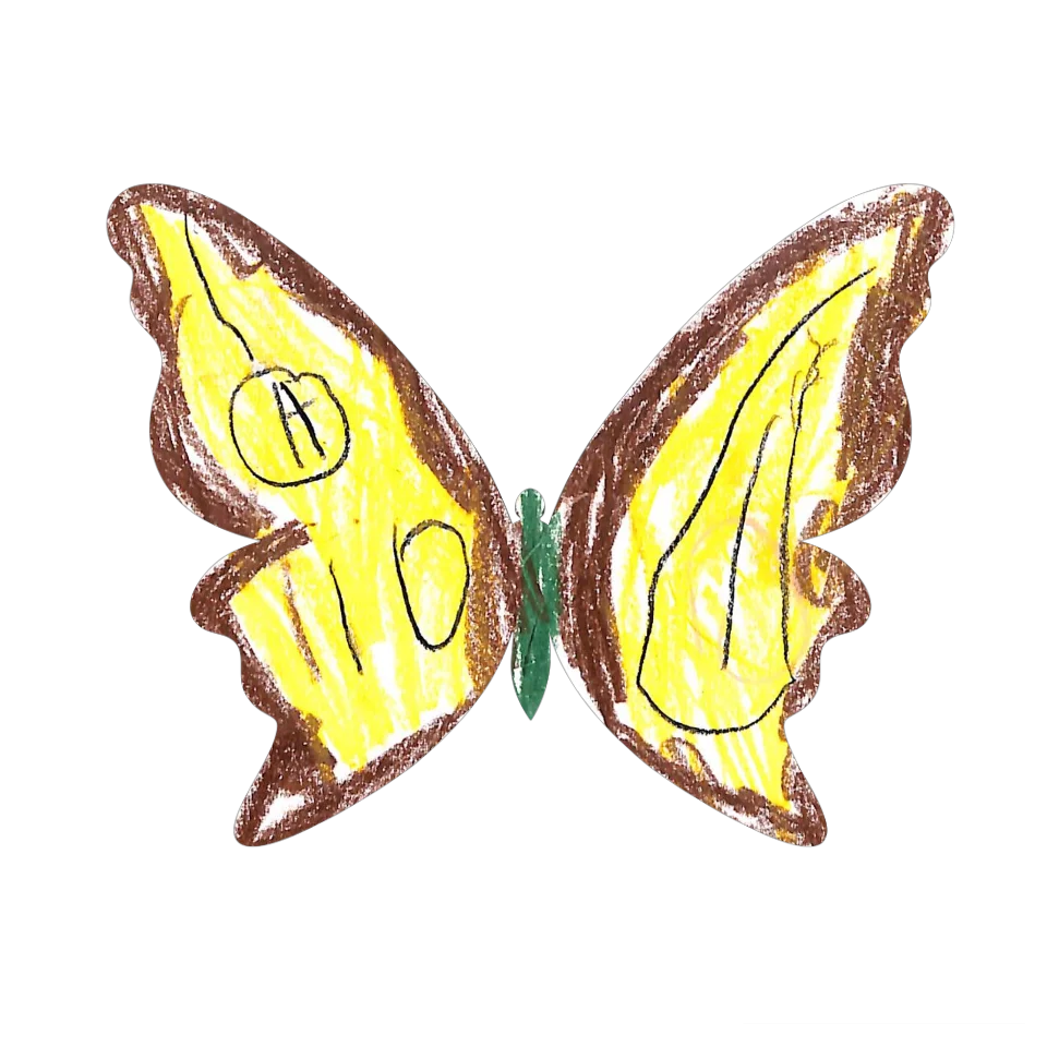 Original Butterfly Image