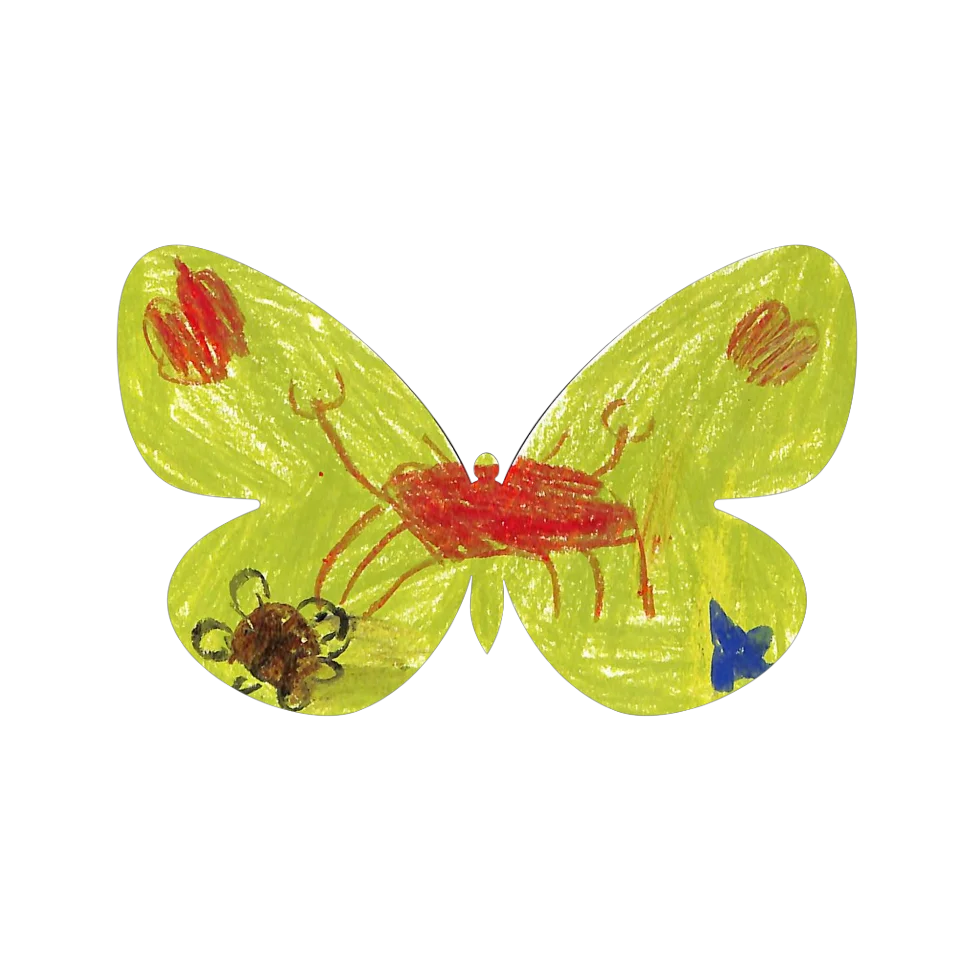 Original Butterfly Image