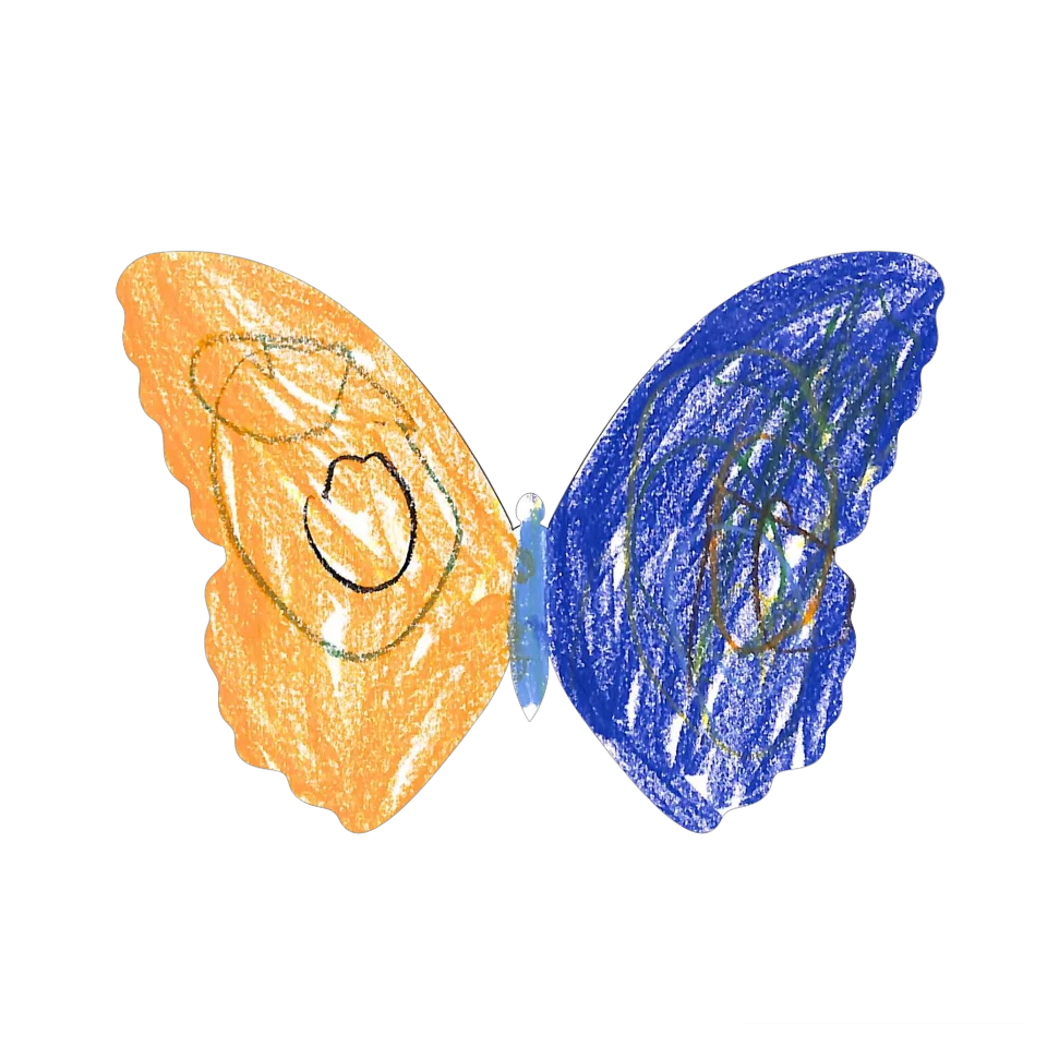 Original Butterfly Image