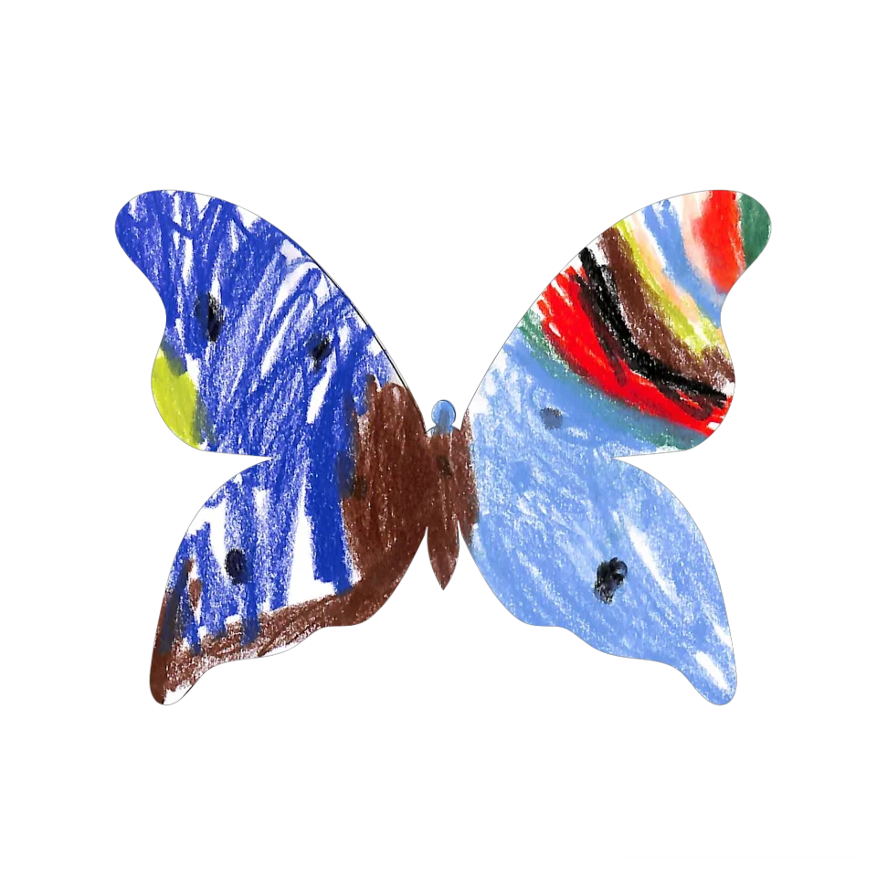 Original Butterfly Image