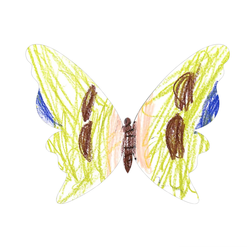 Original Butterfly Image