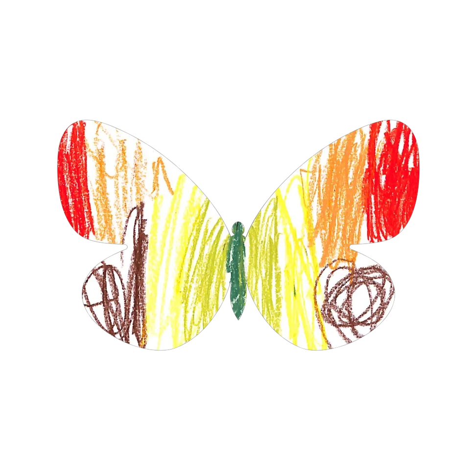 Original Butterfly Image