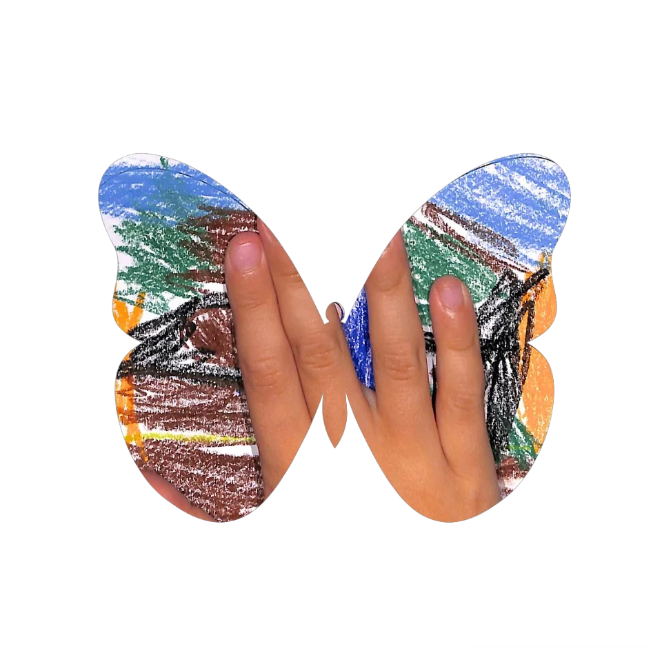 Original Butterfly Image