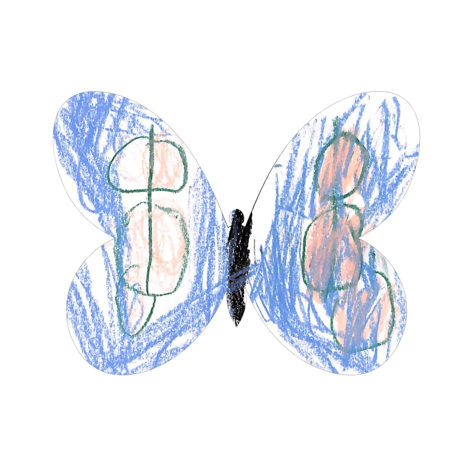 Original Butterfly Image