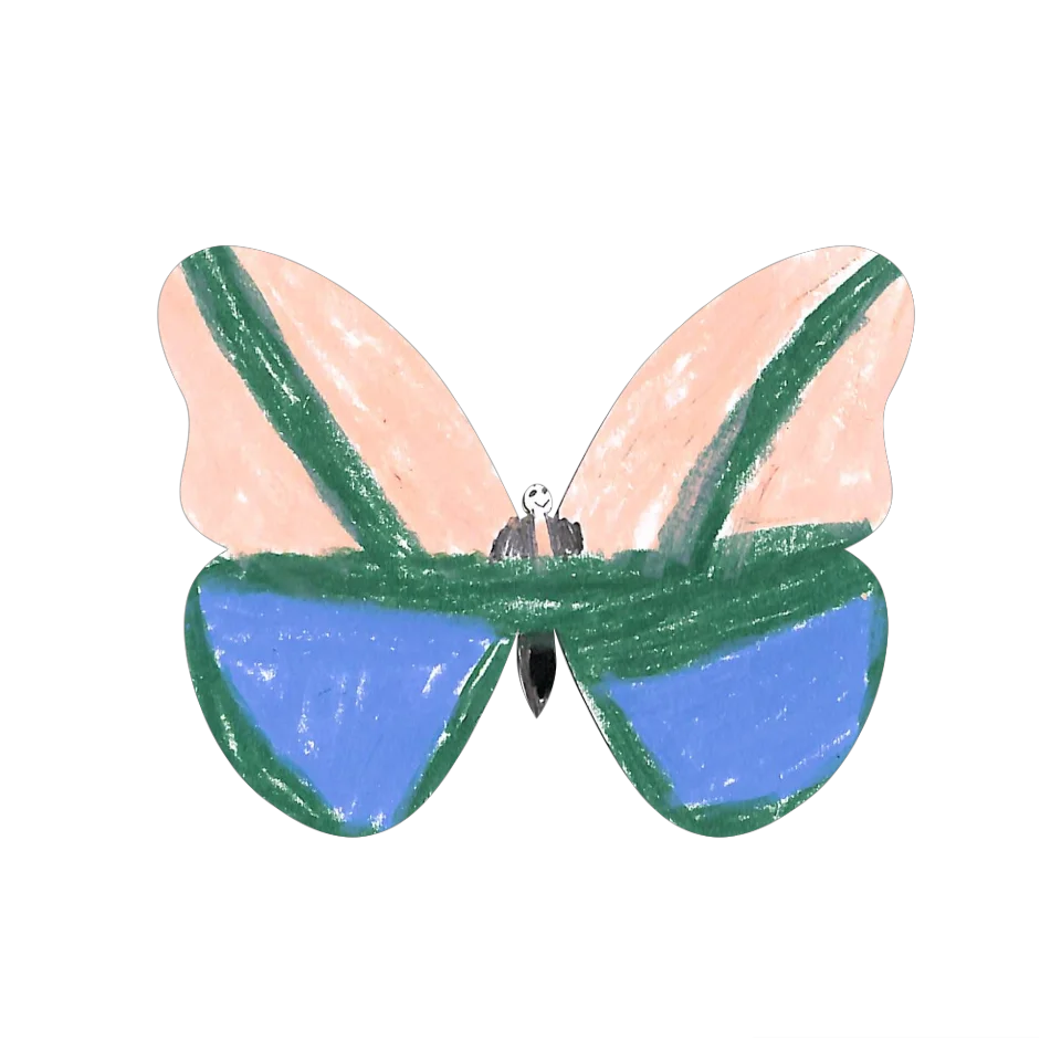 Original Butterfly Image