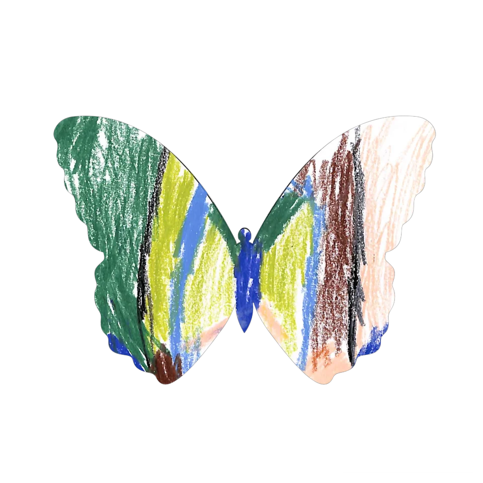 Original Butterfly Image