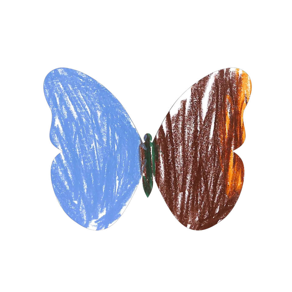 Original Butterfly Image