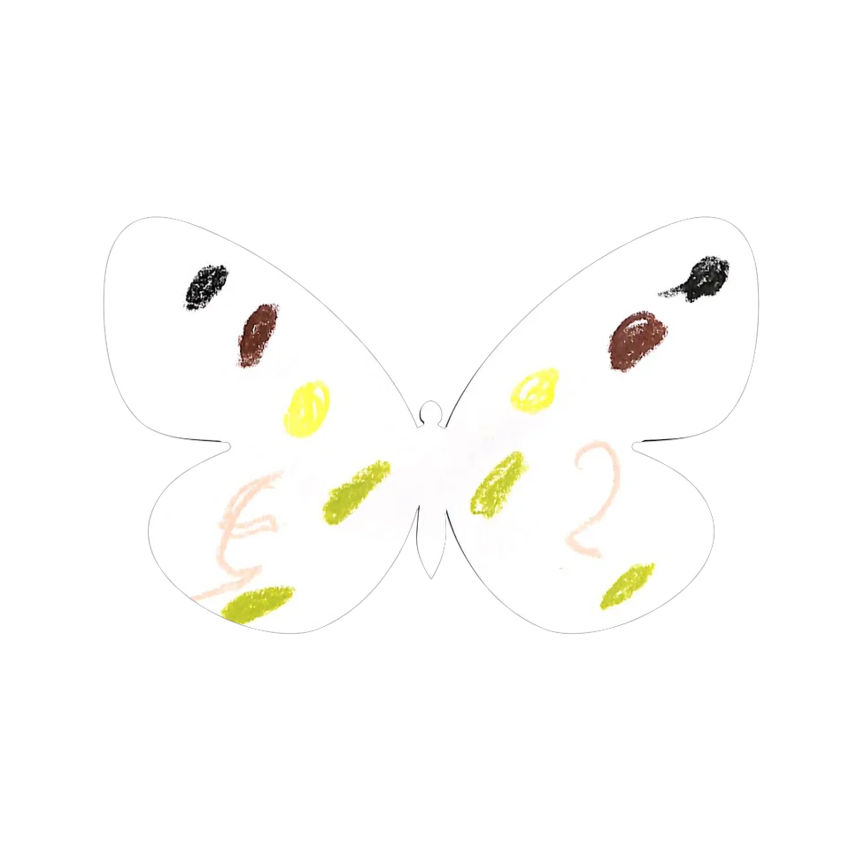Original Butterfly Image