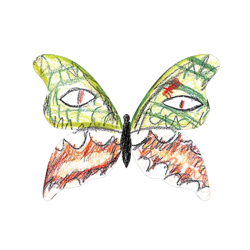 Original Butterfly Image