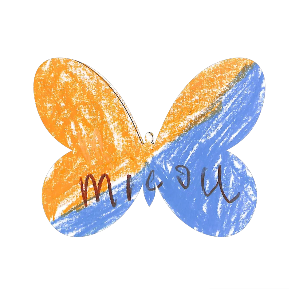 Original Butterfly Image