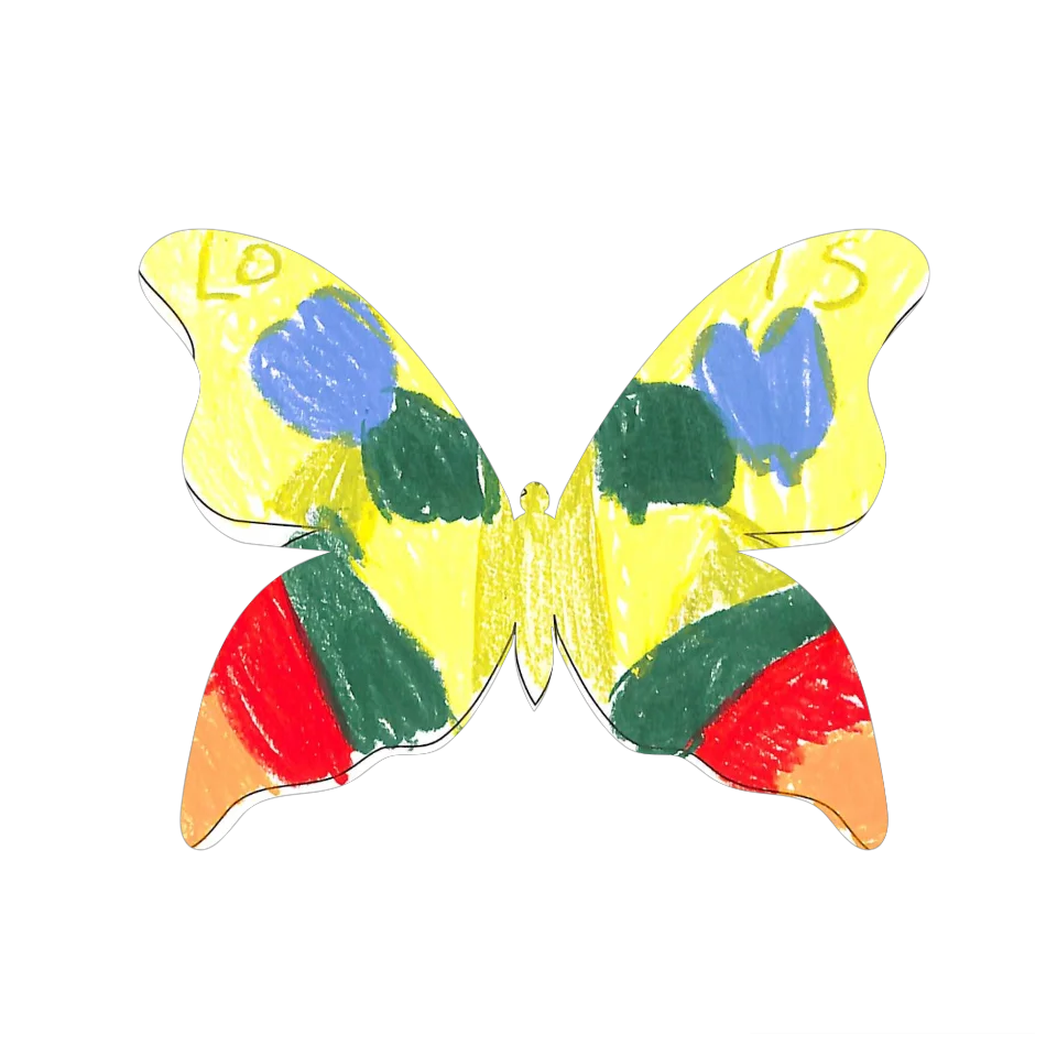 Original Butterfly Image
