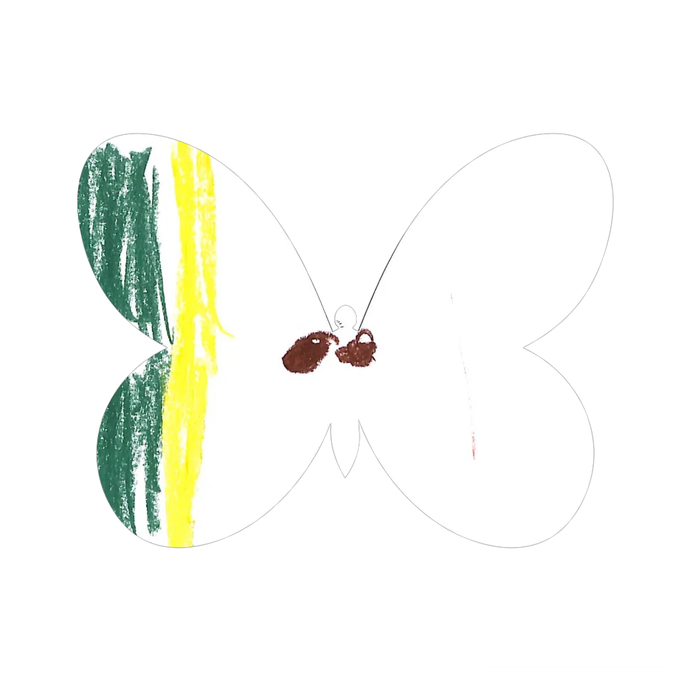 Original Butterfly Image