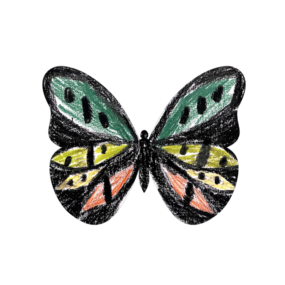 Original Butterfly Image