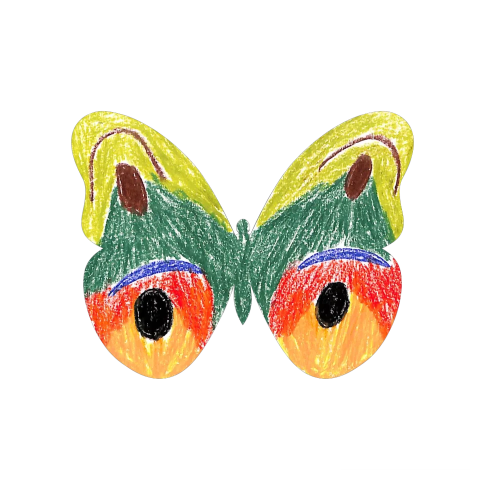 Original Butterfly Image