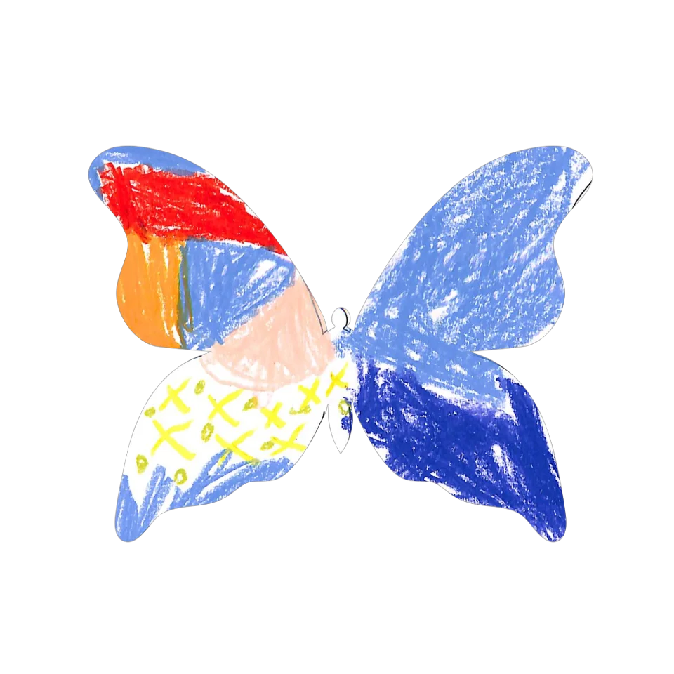 Original Butterfly Image