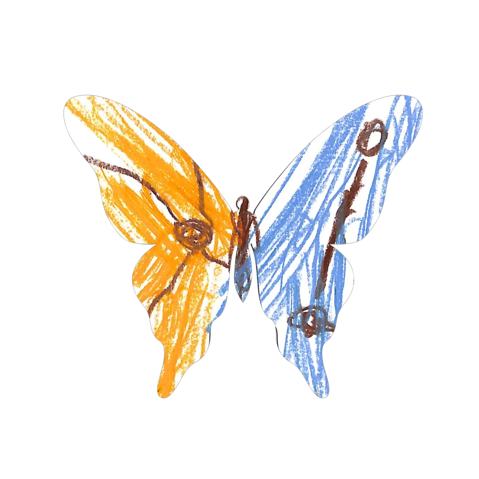 Original Butterfly Image