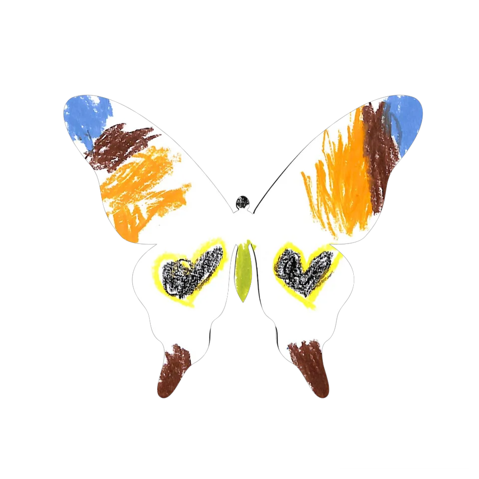 Original Butterfly Image
