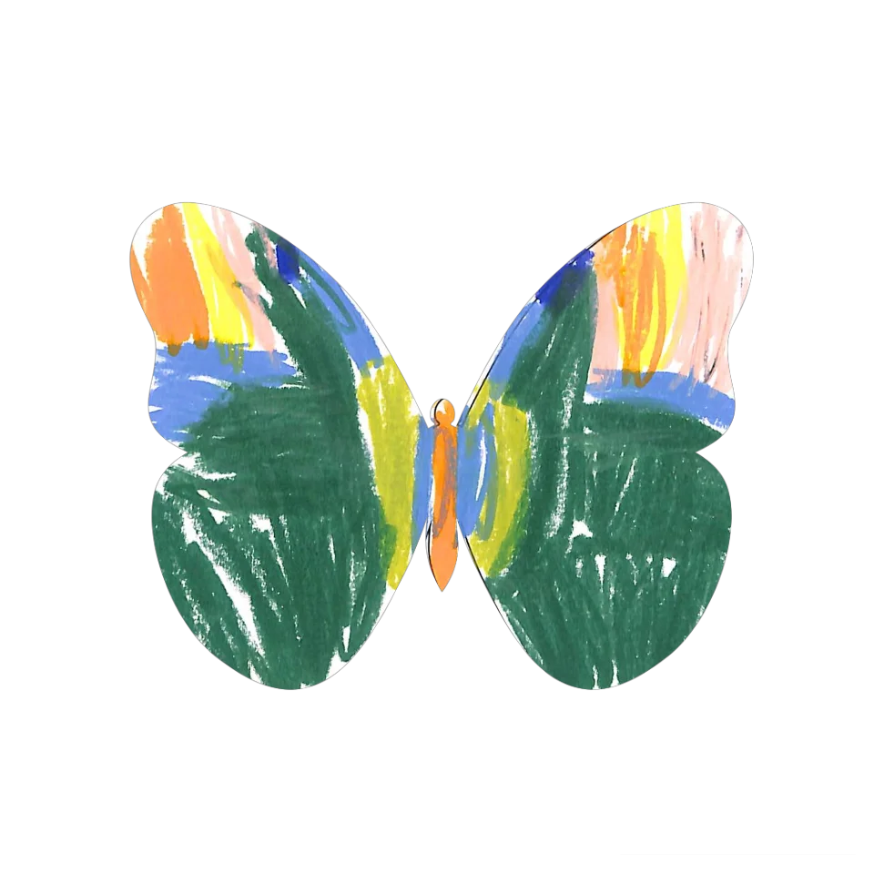 Original Butterfly Image