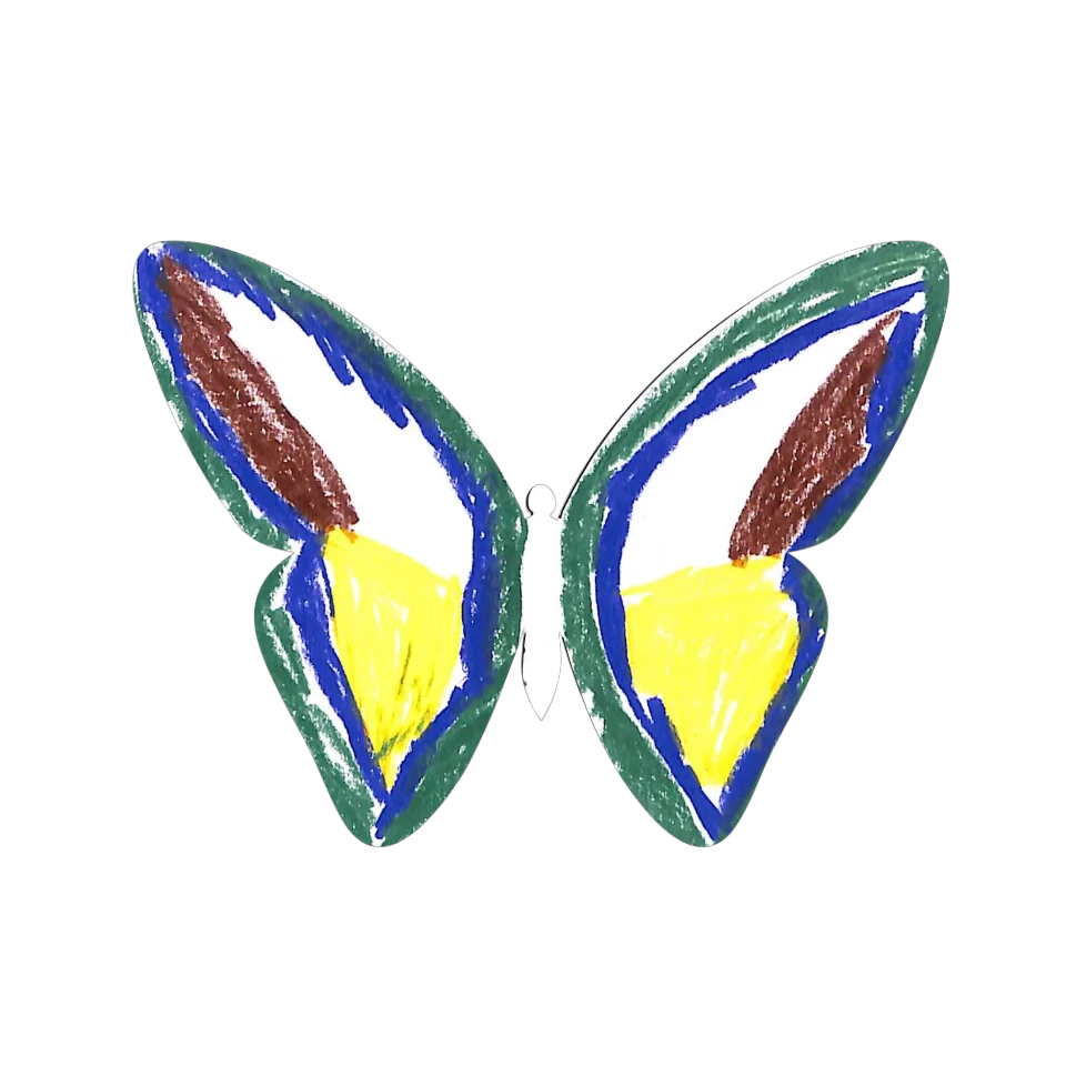 Original Butterfly Image