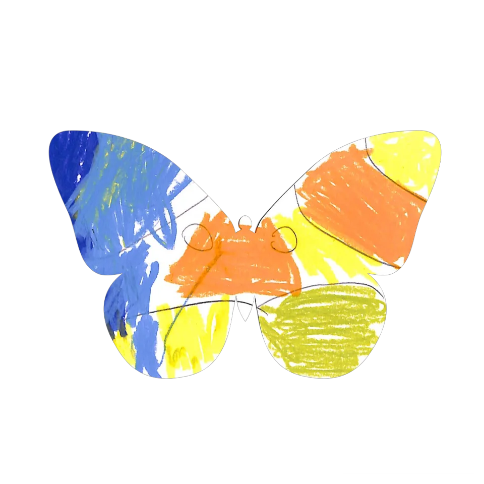 Original Butterfly Image