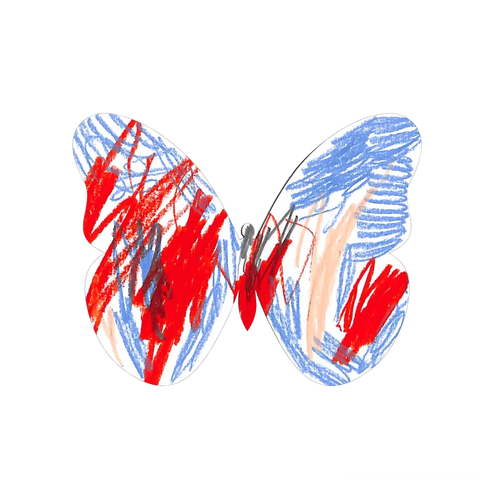 Original Butterfly Image