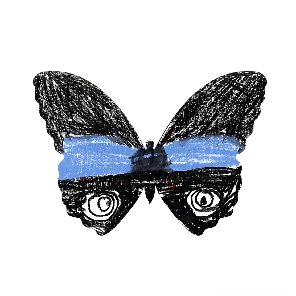 Original Butterfly Image
