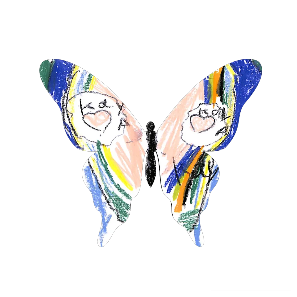 Original Butterfly Image