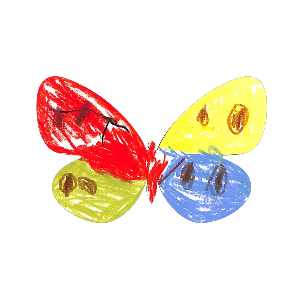 Original Butterfly Image