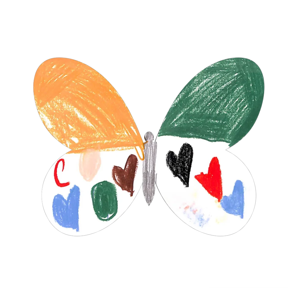 Original Butterfly Image