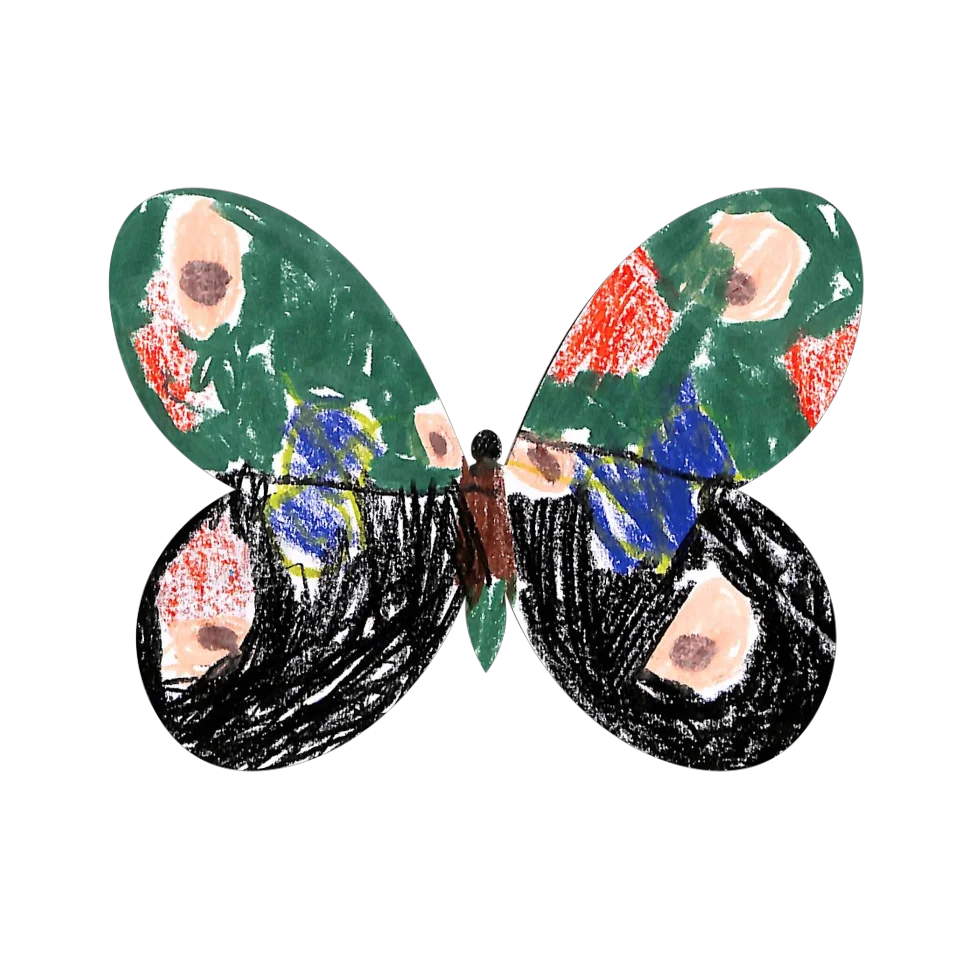 Original Butterfly Image