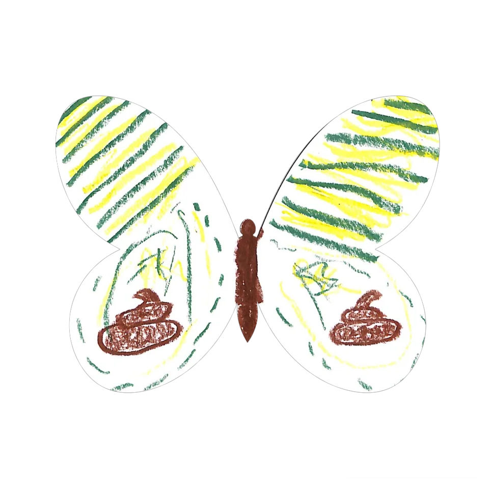 Original Butterfly Image