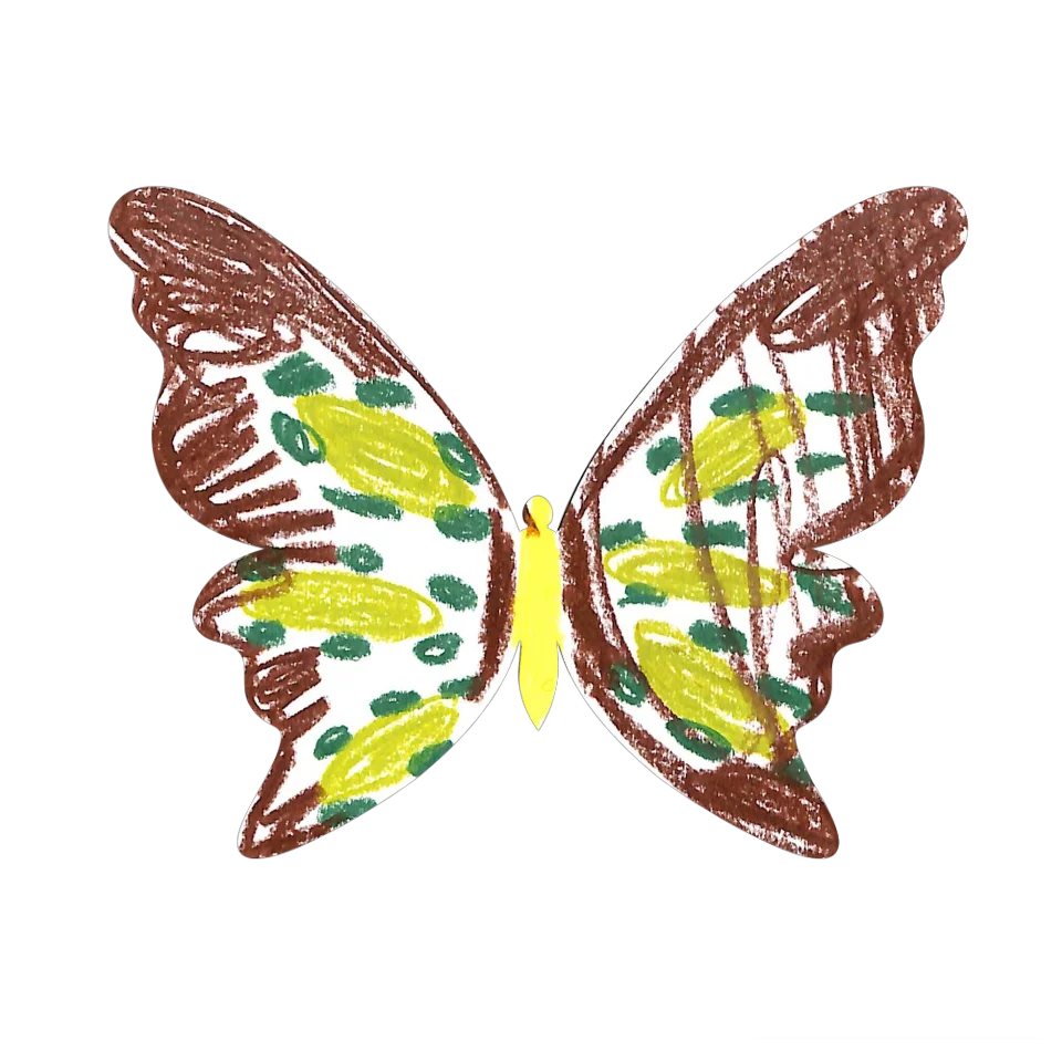 Original Butterfly Image